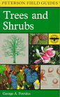 A Field Guide to Trees and Shrubs 1998